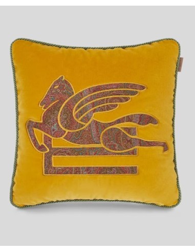 ETRO CUSCINO RICAMATO
